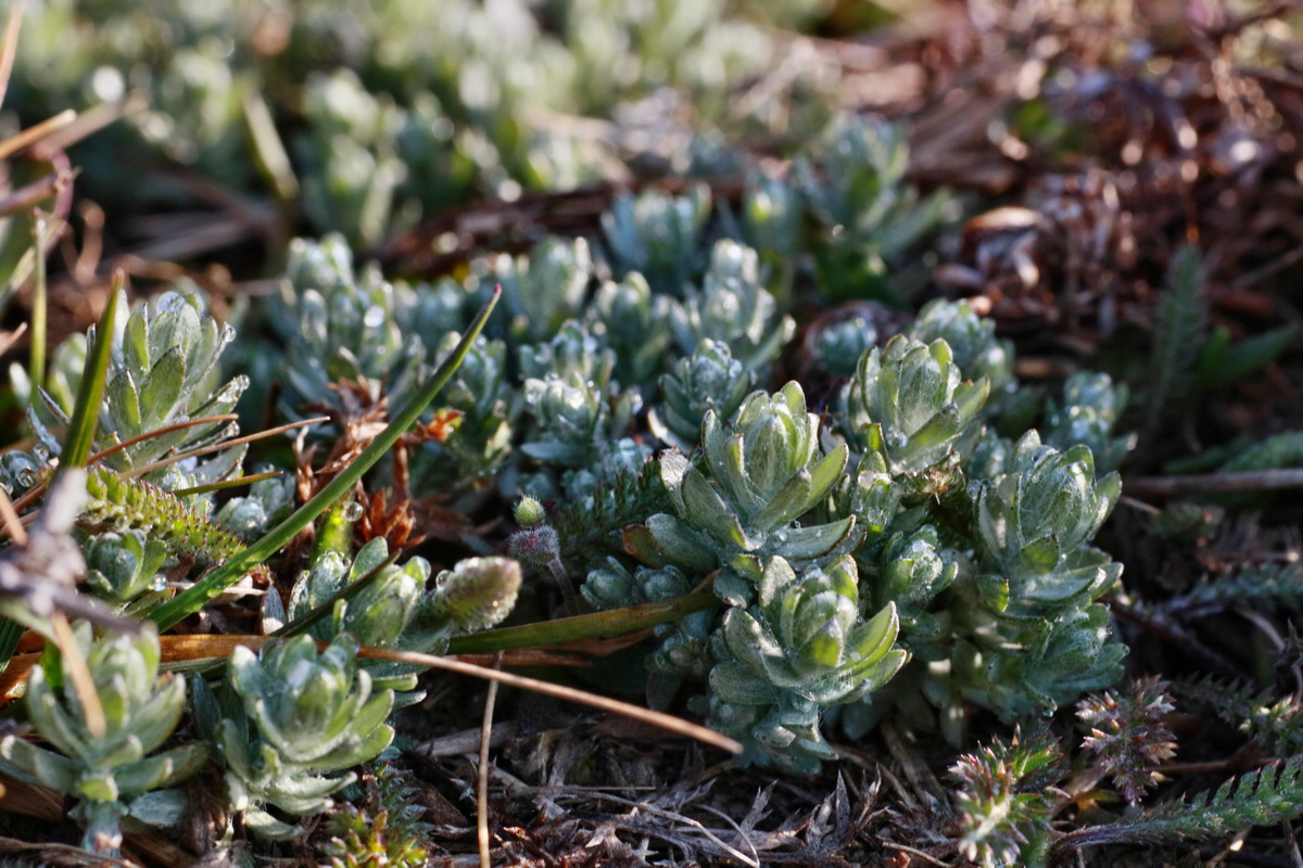 IMG-2016-03-17-00011318p_Bildgr��e �ndern