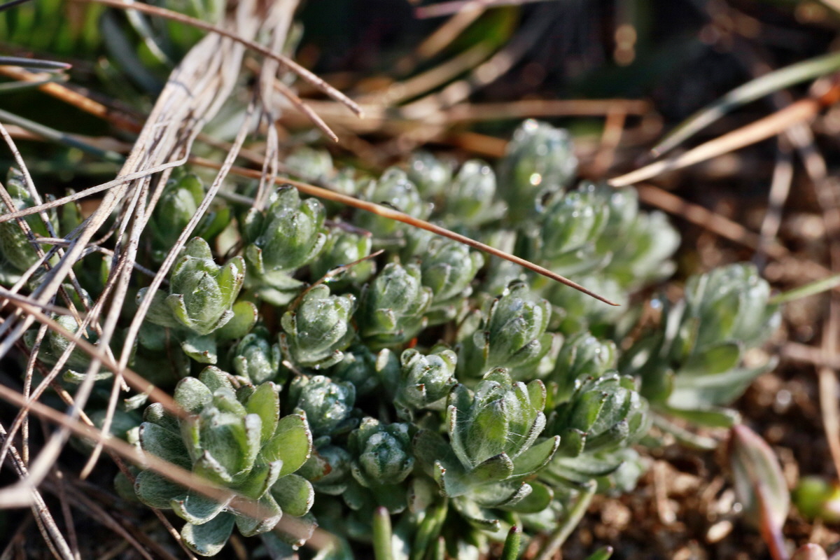 IMG-2016-03-17-00011321p_Bildgr��e �ndern