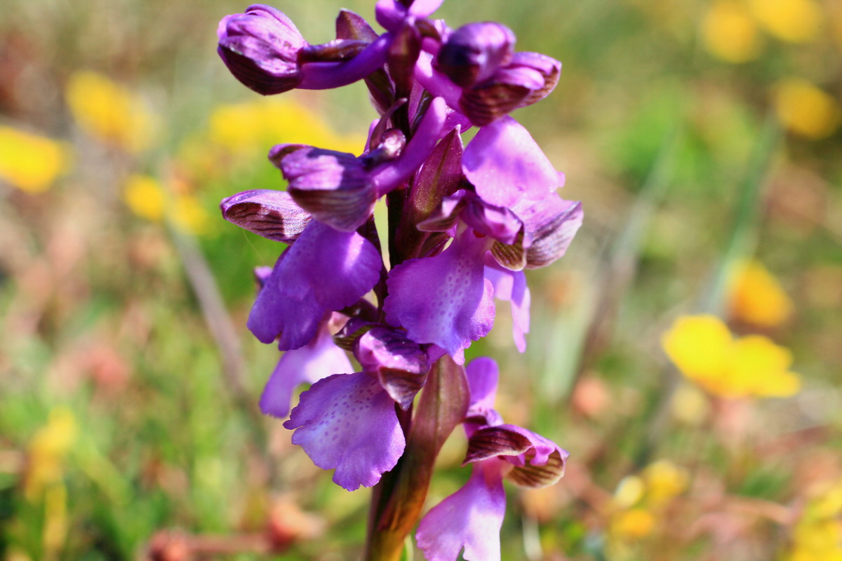 A_2016_05_01_00019598p_Bildgr��e �ndern