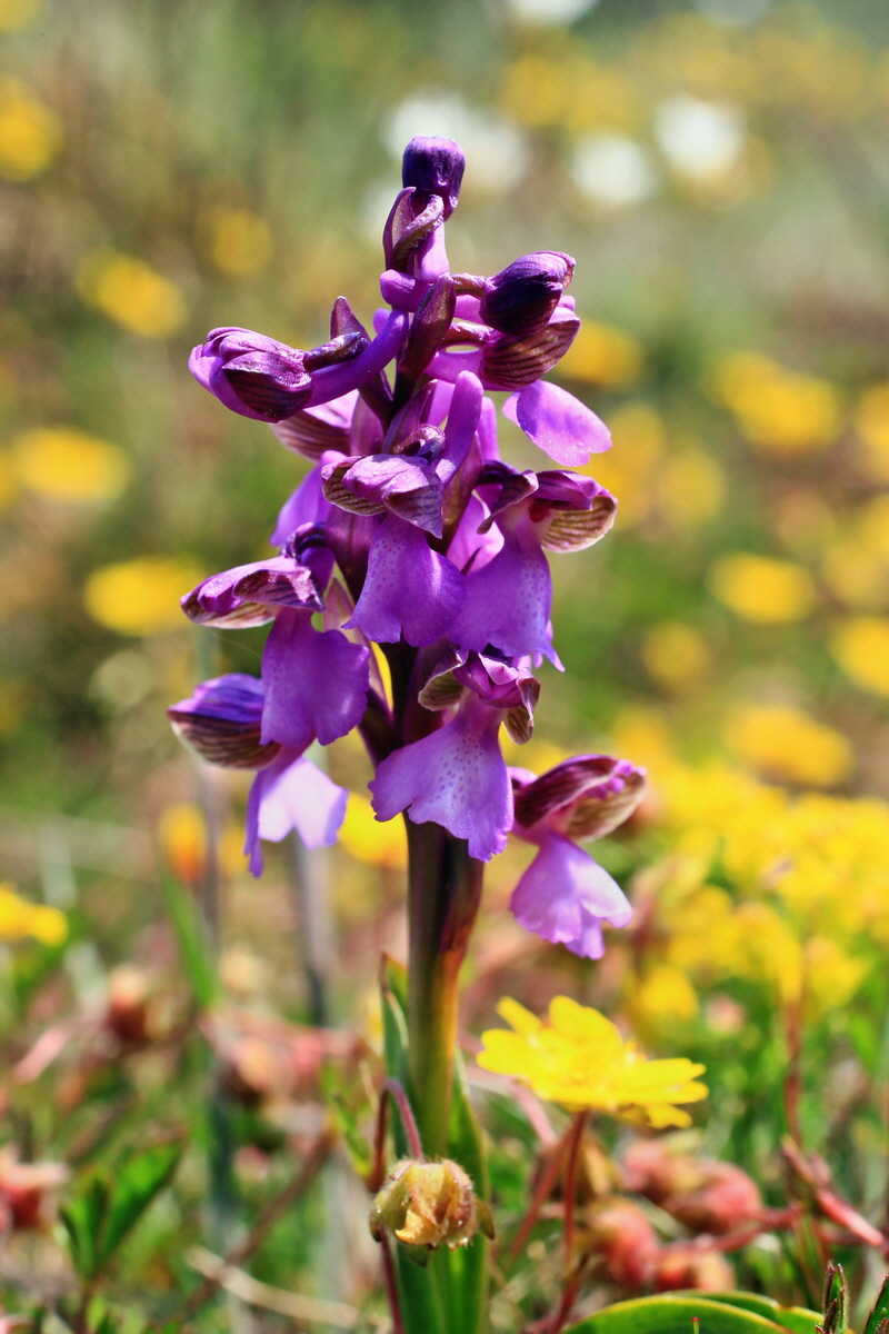 A_2016_05_01_00019600p_Bildgr��e �ndern