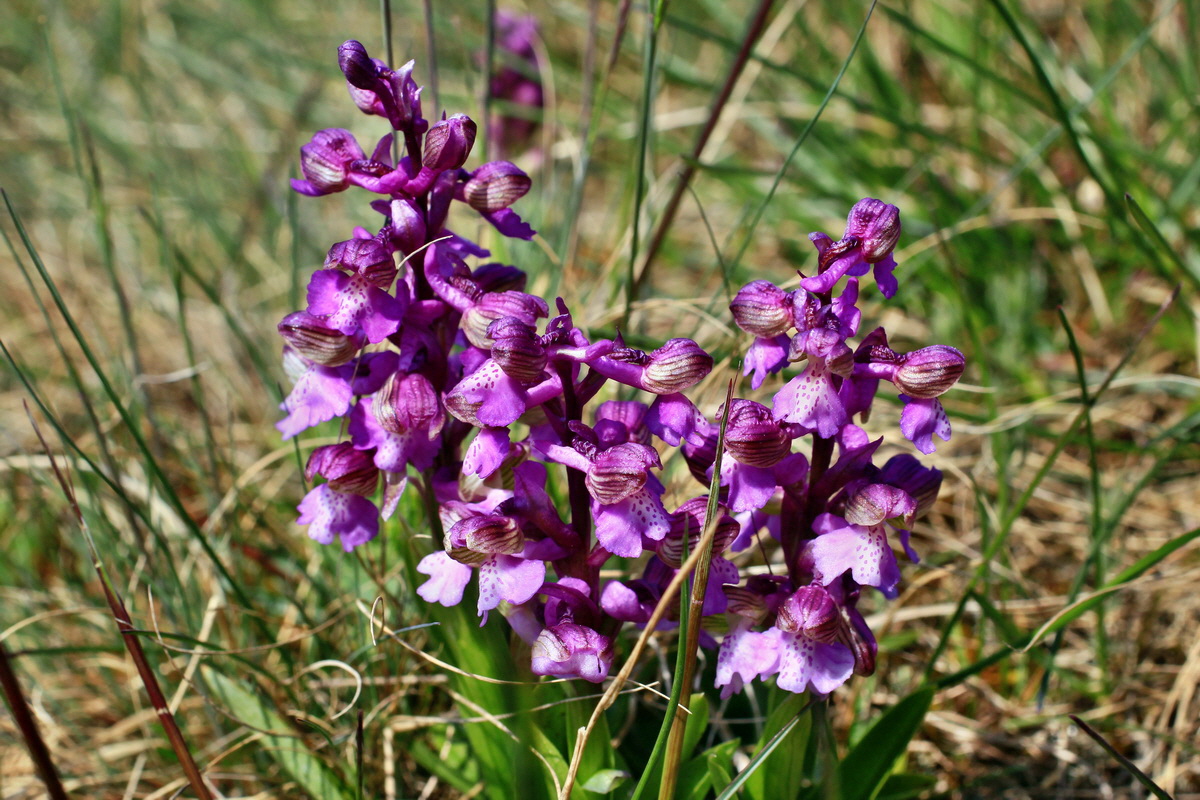 A_2016_05_01_00019604p_Bildgr��e �ndern