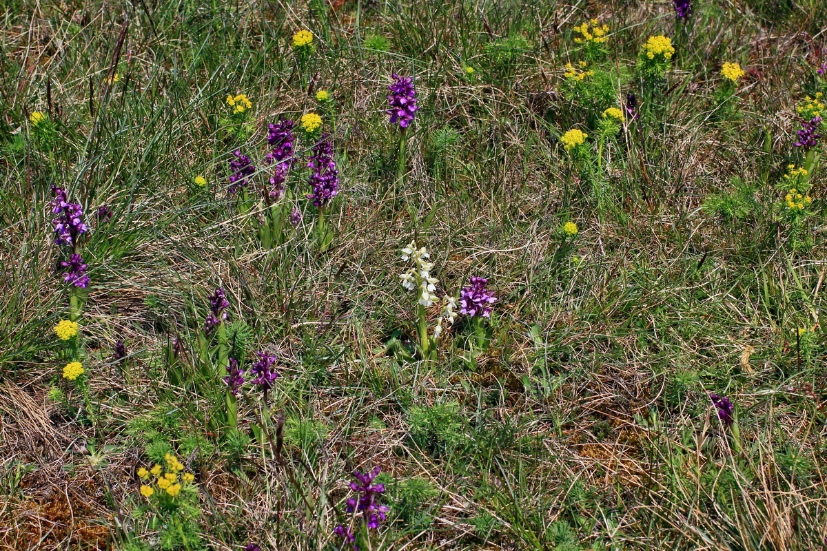 A_2016_05_01_00019611p_Bildgr��e �ndern