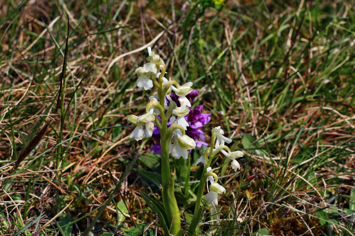 A_2016_05_01_00019613p_Bildgr��e �ndern