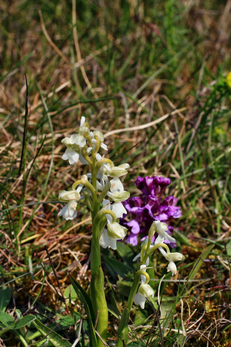 A_2016_05_01_00019616p_Bildgr��e �ndern