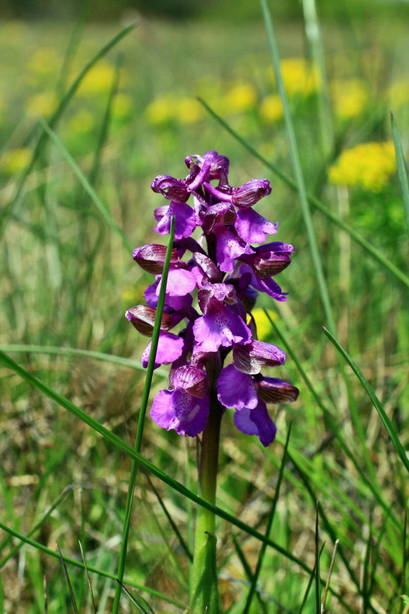 A_2016_05_01_00019621p_Bildgr��e �ndern