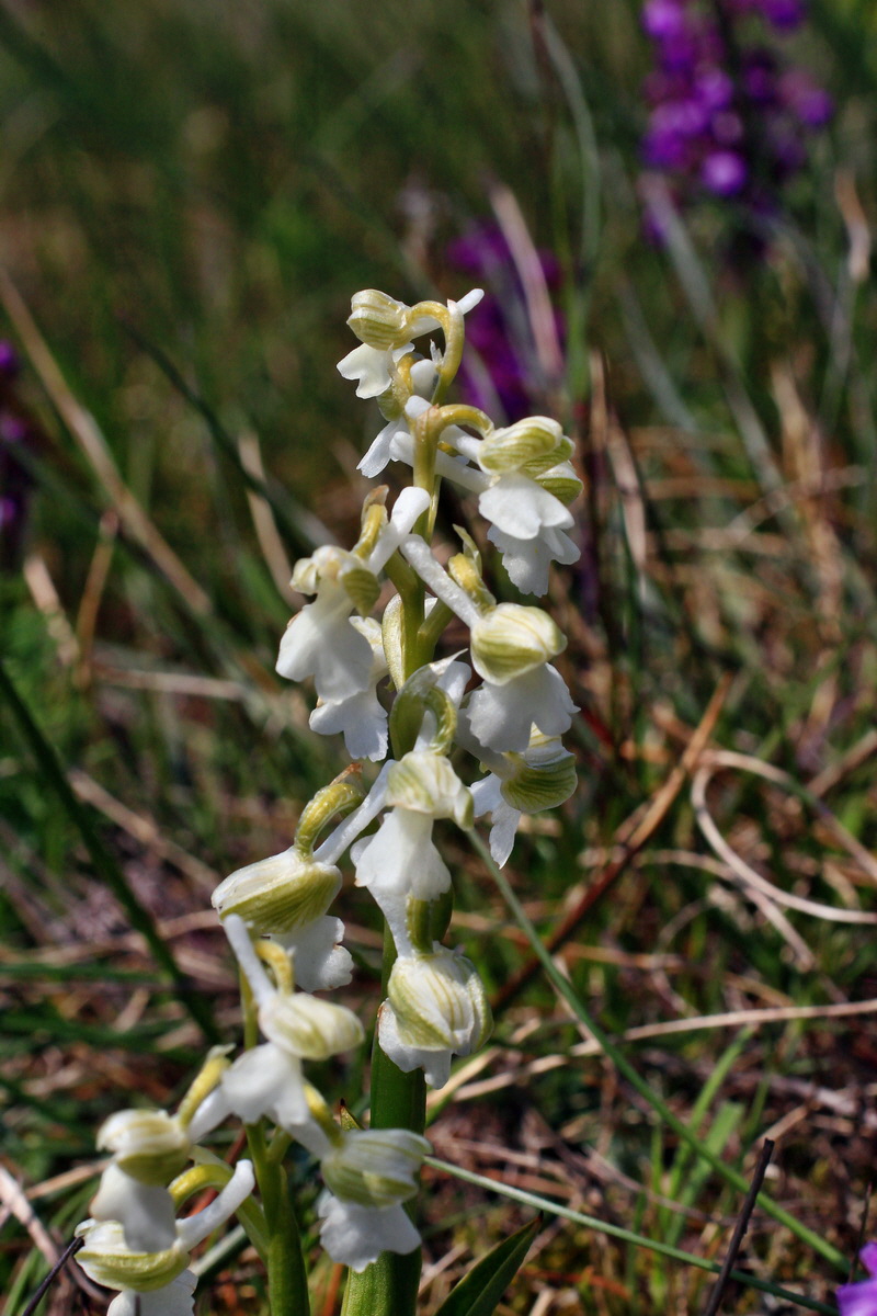 A_2016_05_01_00019622p_Bildgr��e �ndern