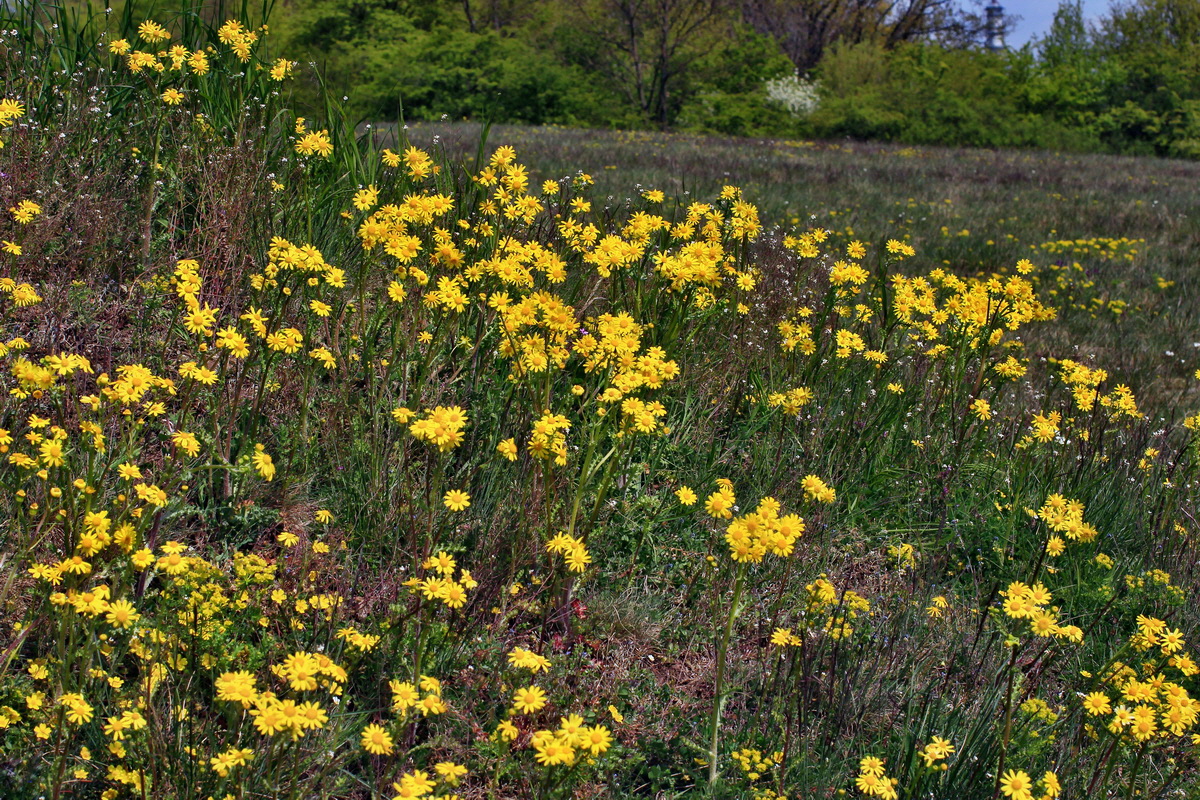 A_2016_05_01_00019625p_Bildgr��e �ndern