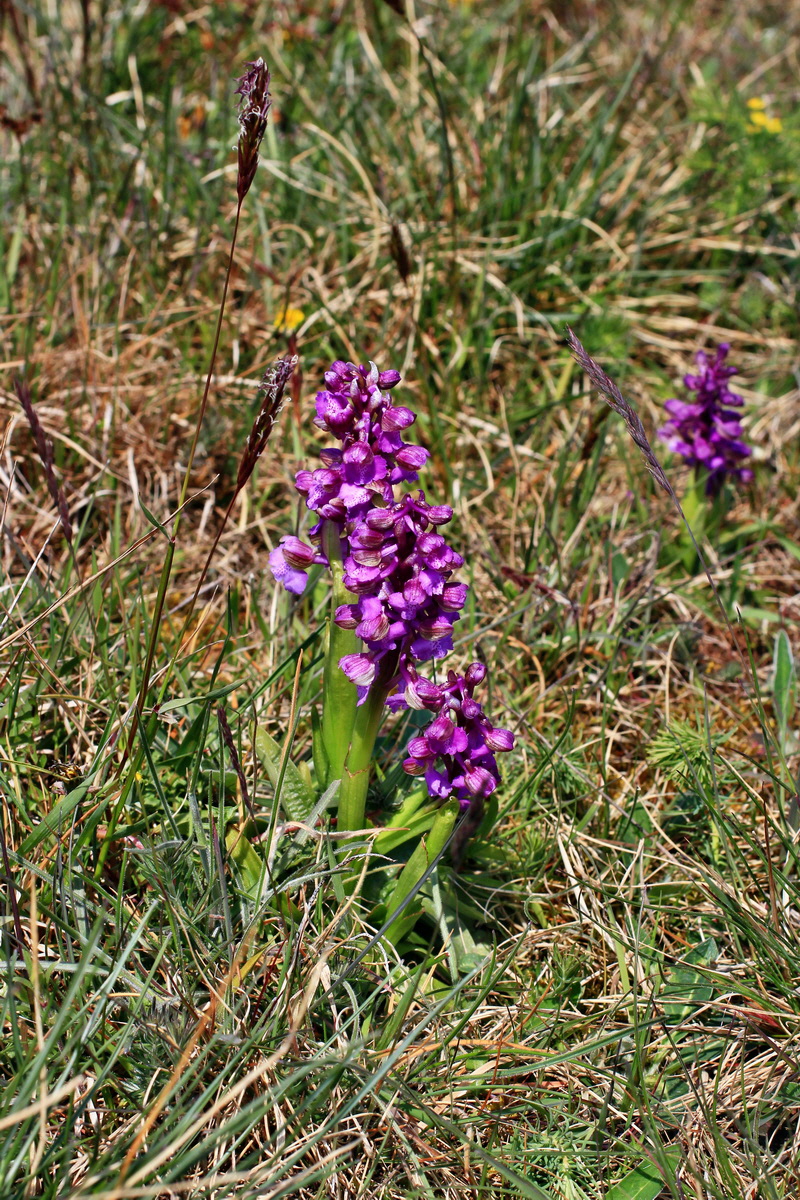 A_2016_05_01_00019626p_Bildgr��e �ndern