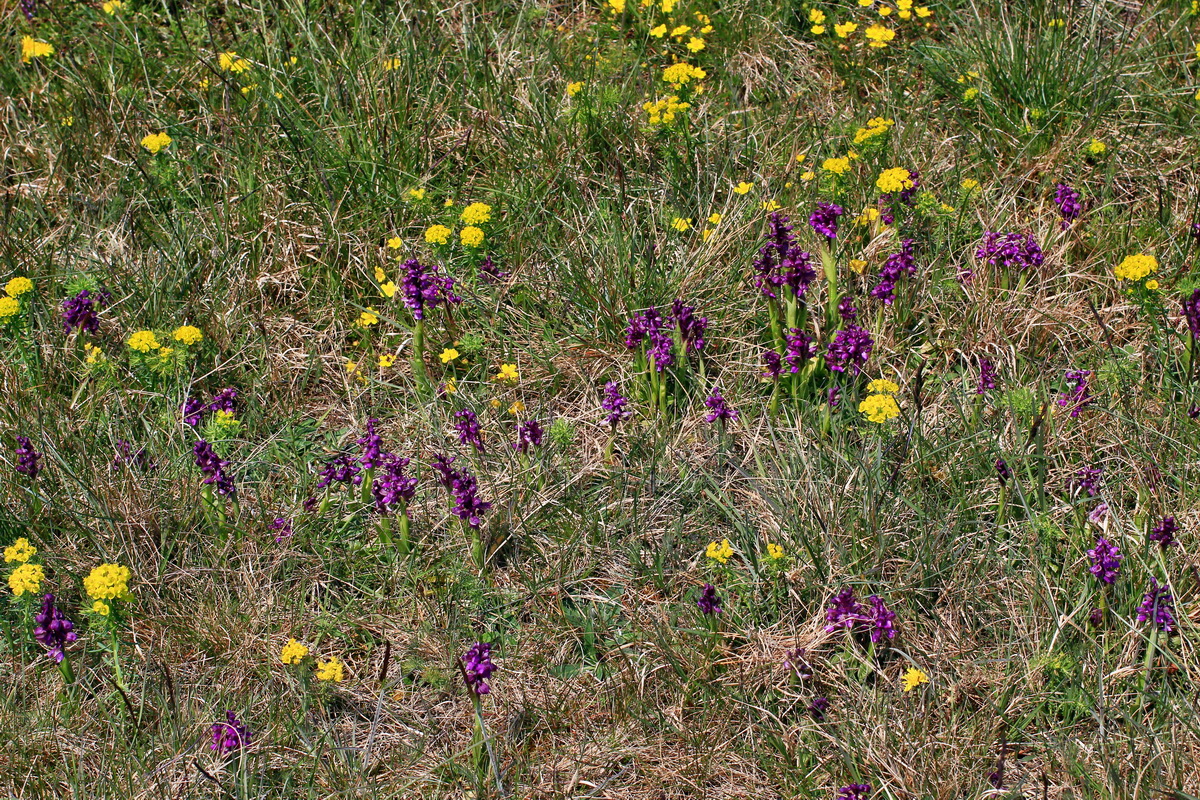 A_2016_05_01_00019635p_Bildgr��e �ndern