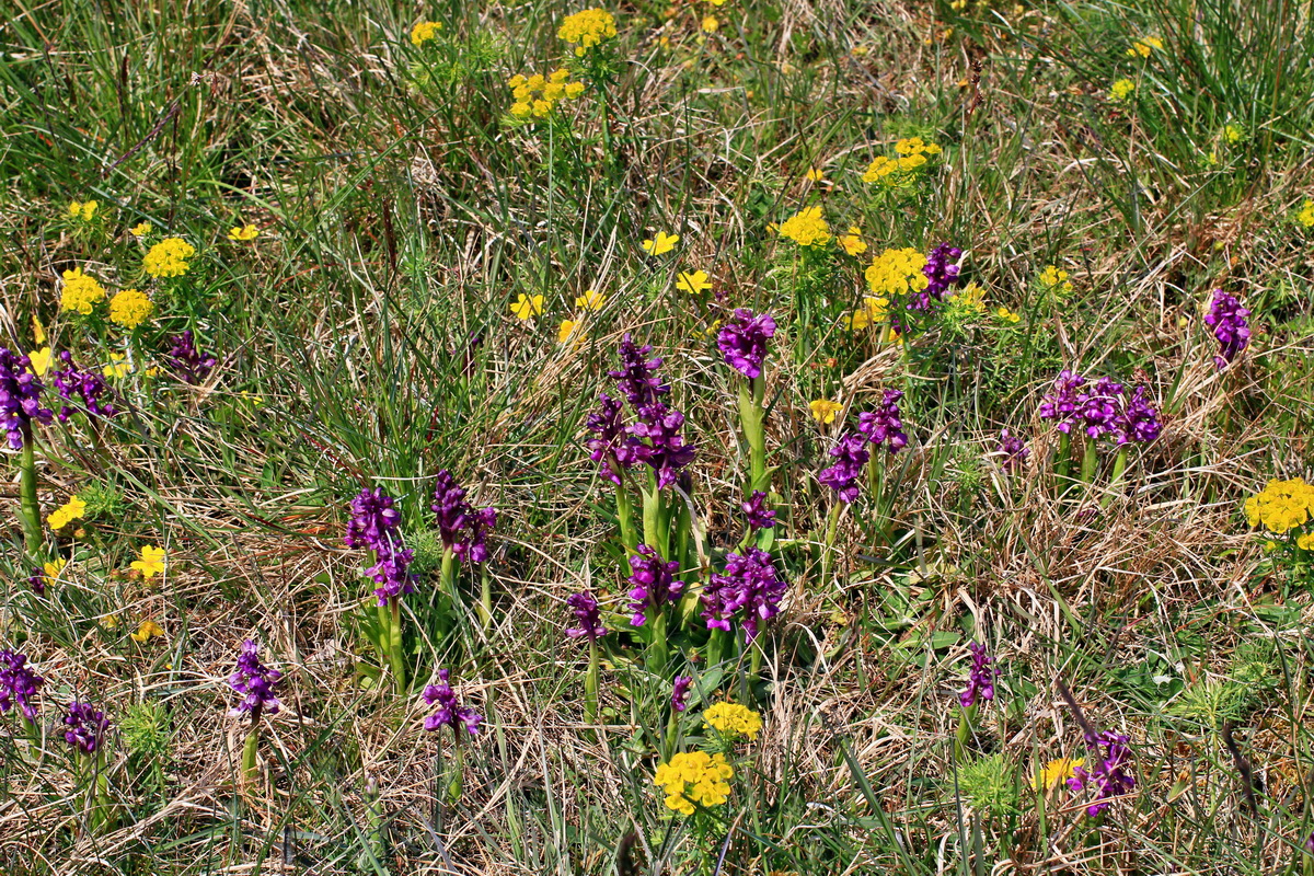 A_2016_05_01_00019637p_Bildgr��e �ndern