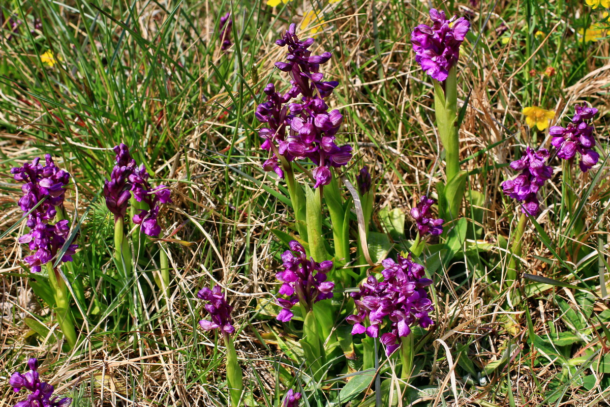 A_2016_05_01_00019638p_Bildgr��e �ndern