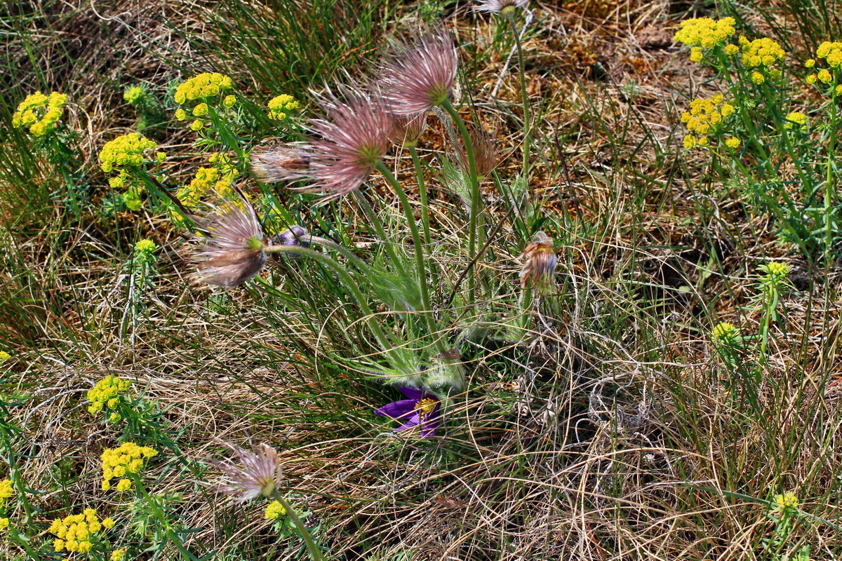 A_2016_05_01_00019648p_Bildgr��e �ndern