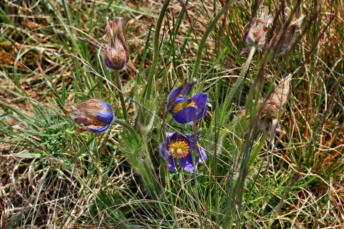 A_2016_05_01_00019650p_Bildgr��e �ndern