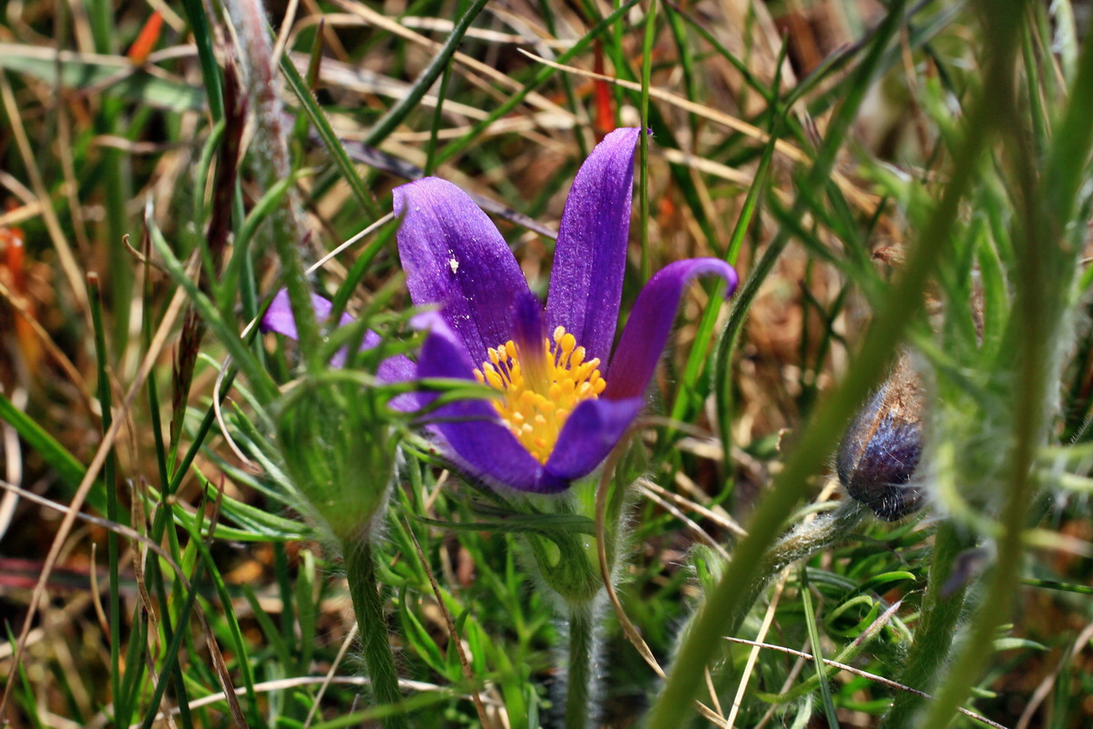 A_2016_05_01_00019652p_Bildgr��e �ndern