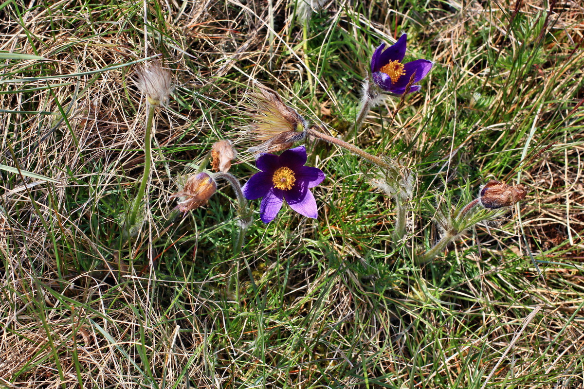 A_2016_05_01_00019655p_Bildgr��e �ndern