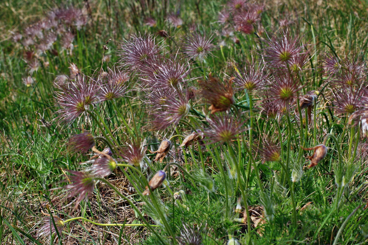 A_2016_05_01_00019658p_Bildgr��e �ndern