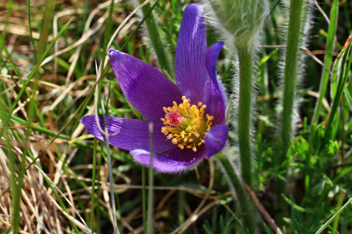 A_2016_05_01_00019662p_Bildgr��e �ndern