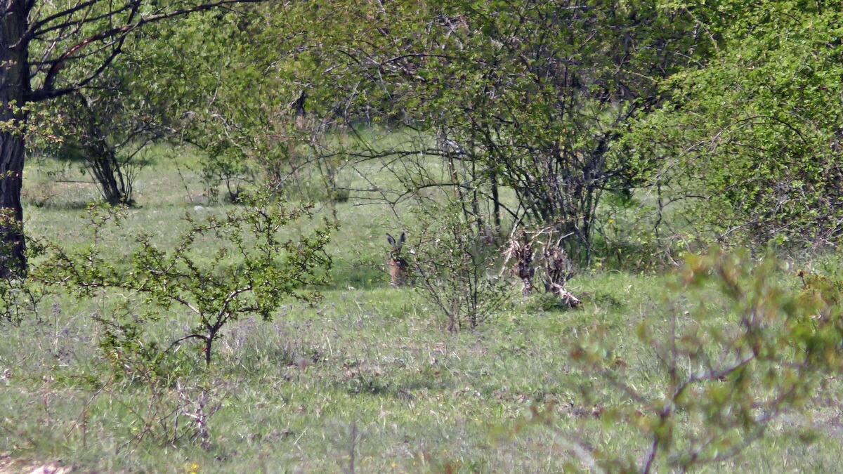 05-02-2016_124845p_Bildgr��e �ndern