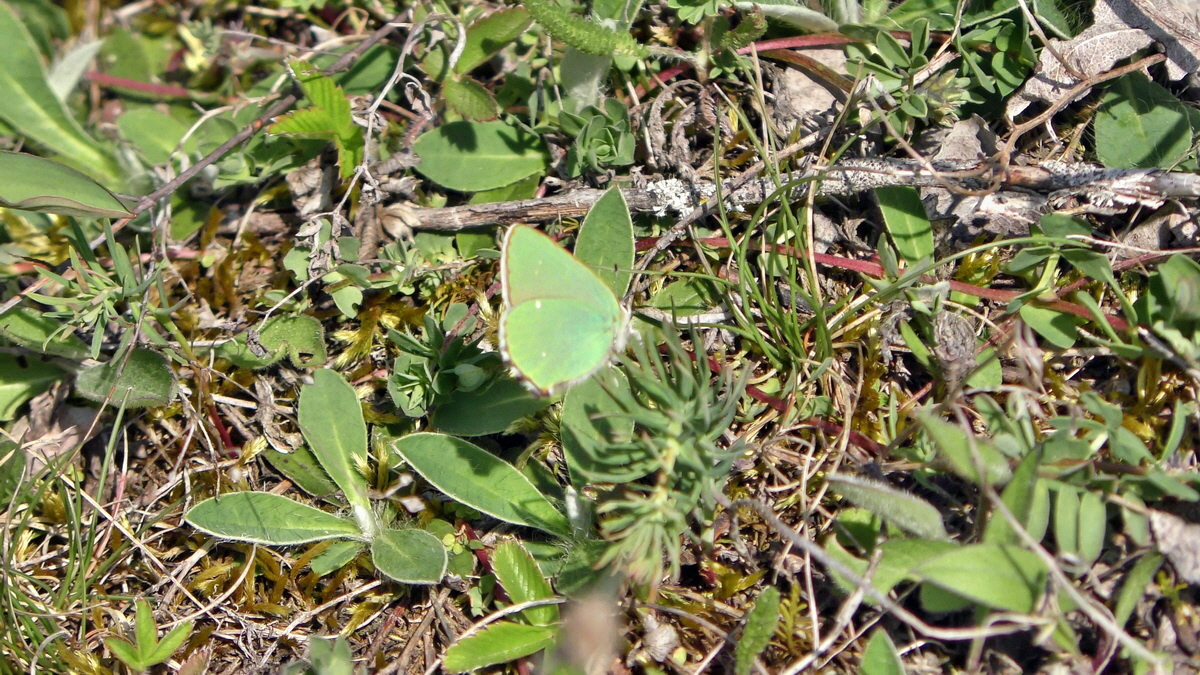 05-02-2016_131311p_Bildgr��e �ndern