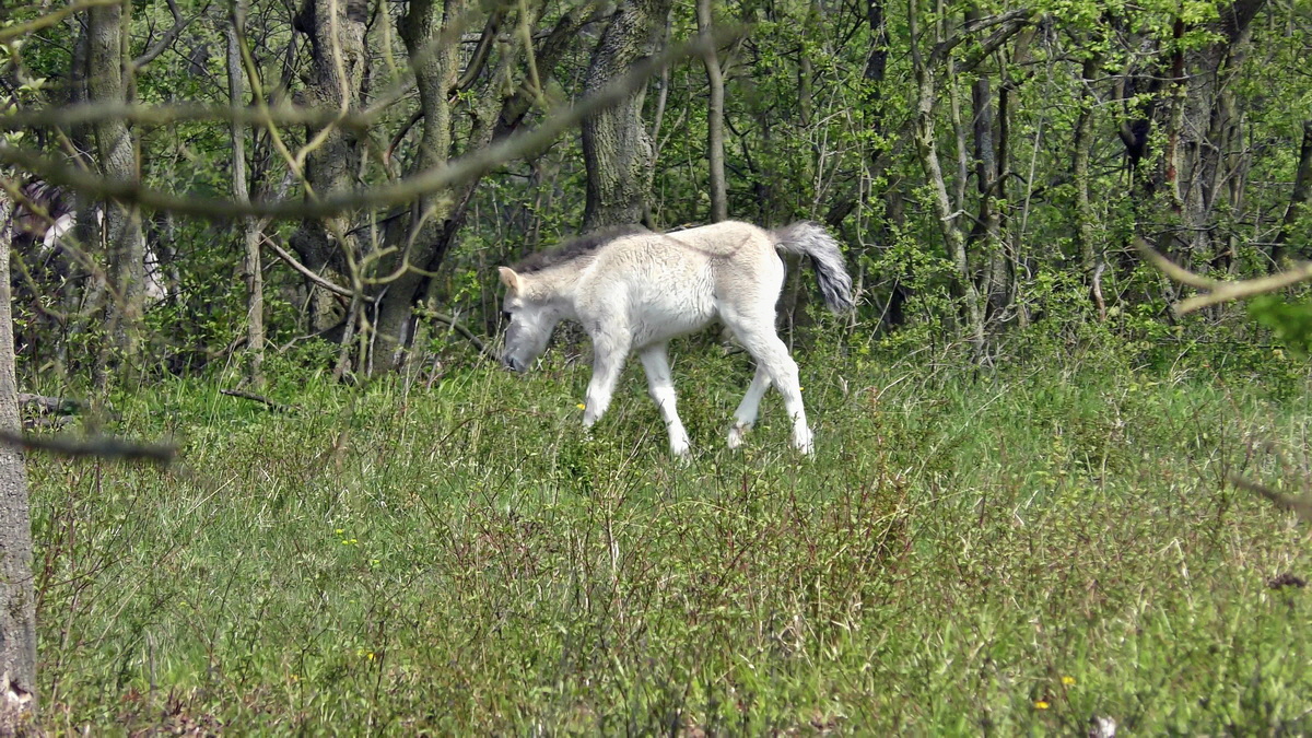 05-02-2016_134405p_Bildgr��e �ndern