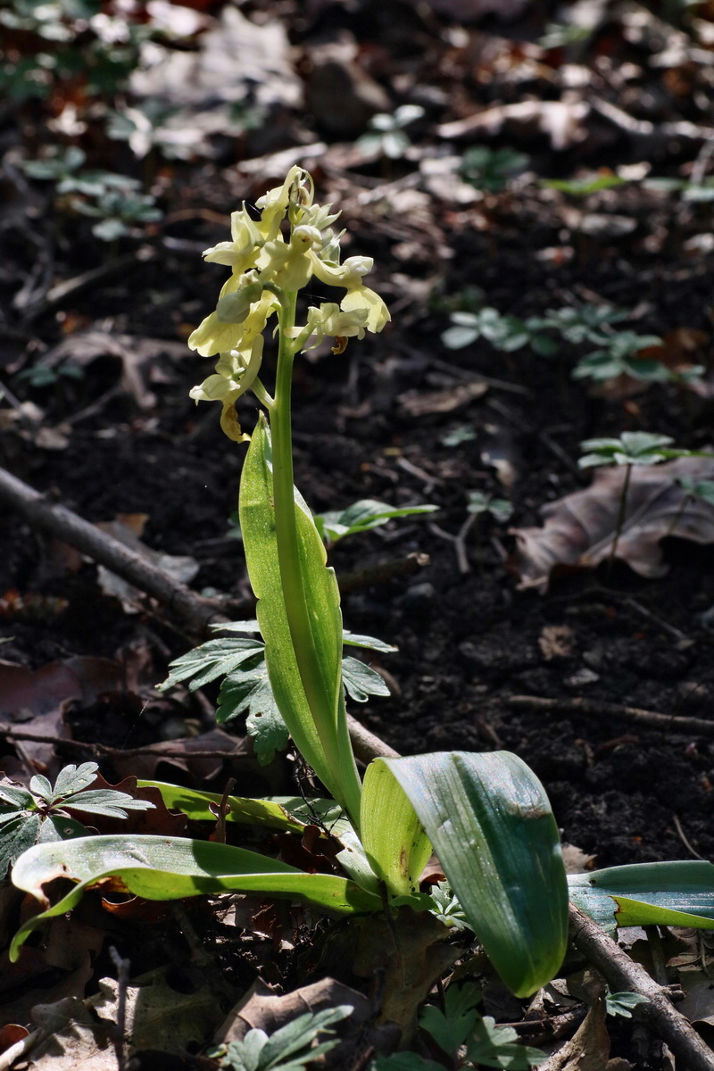 IMG-2016-05-02-00013312p_Bildgr��e �ndern