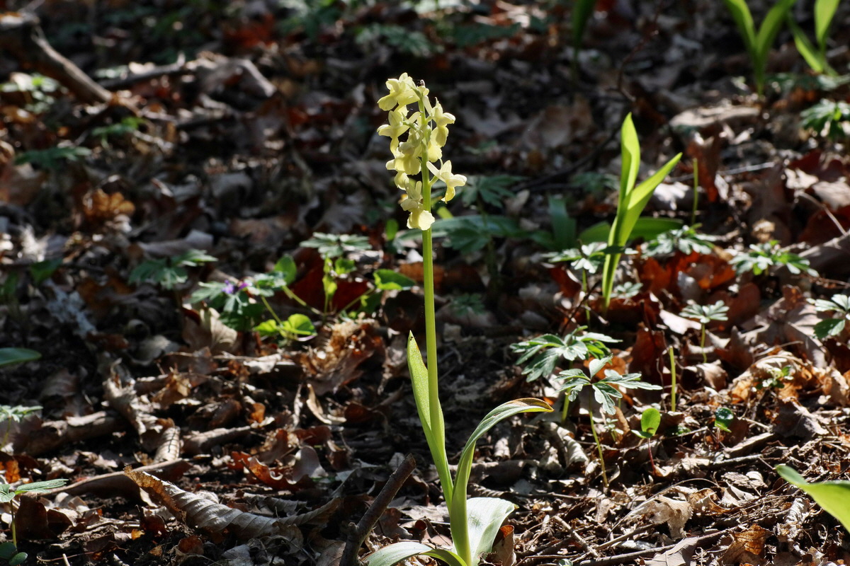 IMG-2016-05-02-00013317p_Bildgr��e �ndern