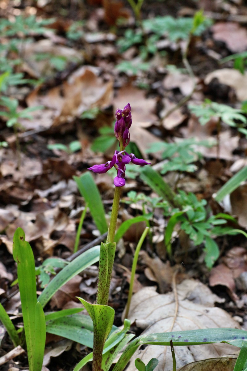 IMG-2016-05-02-00013319p_Bildgr��e �ndern