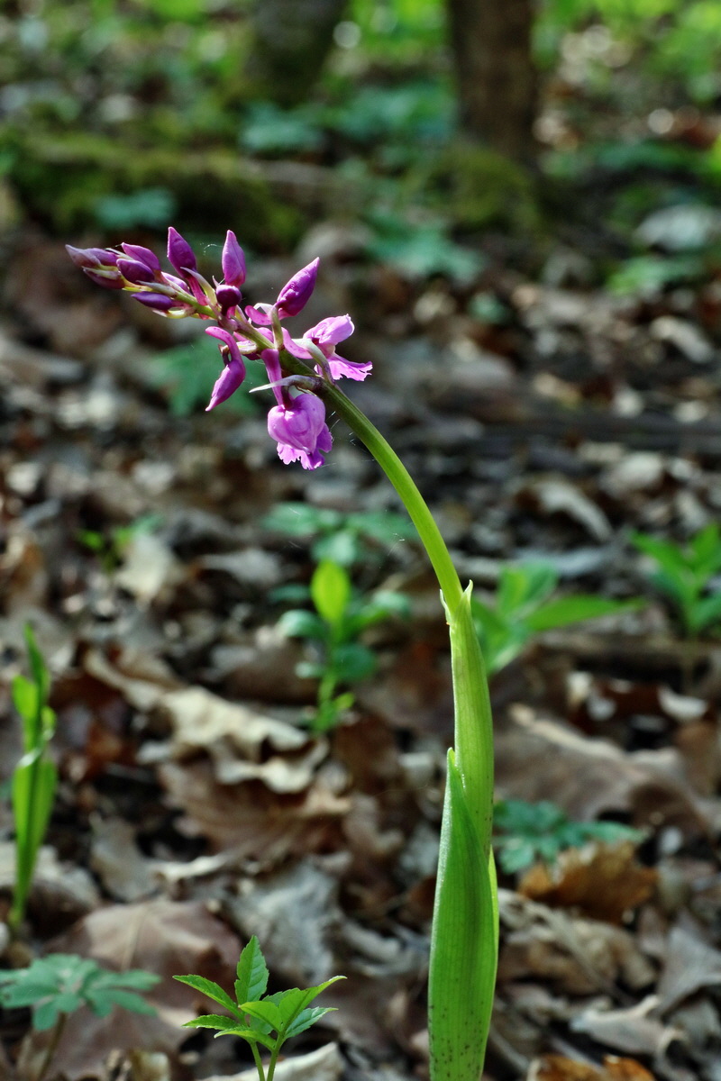 IMG-2016-05-02-00013322p_Bildgr��e �ndern