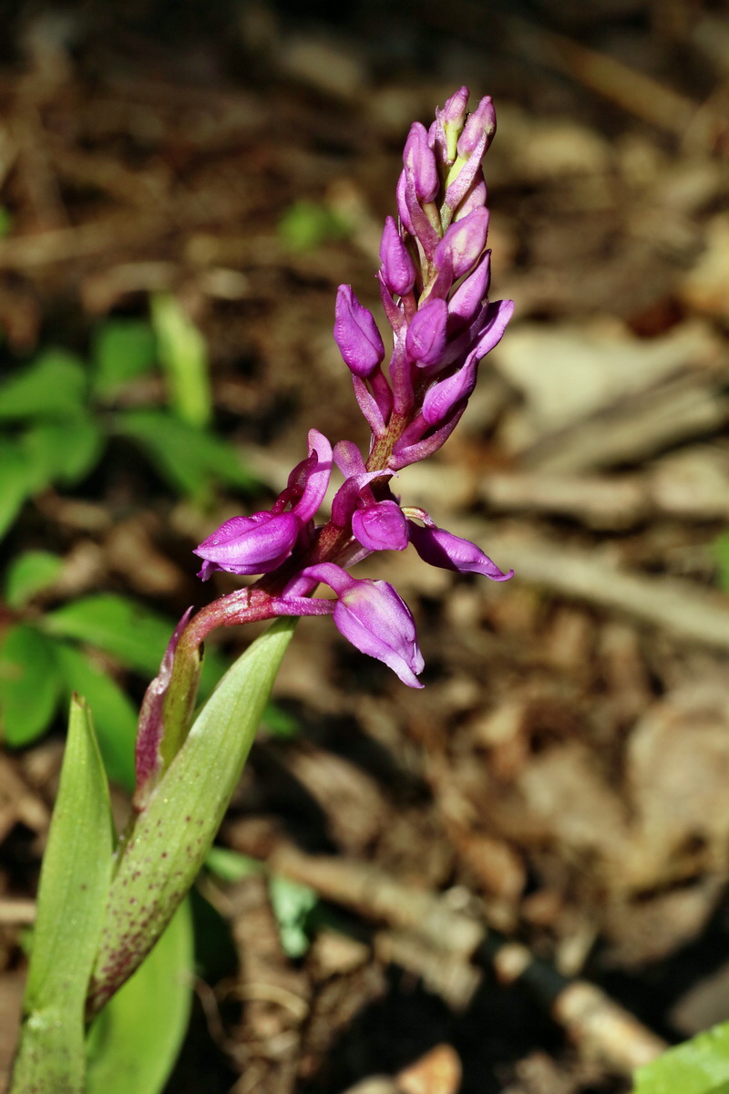 IMG-2016-05-02-00013324p_Bildgr��e �ndern