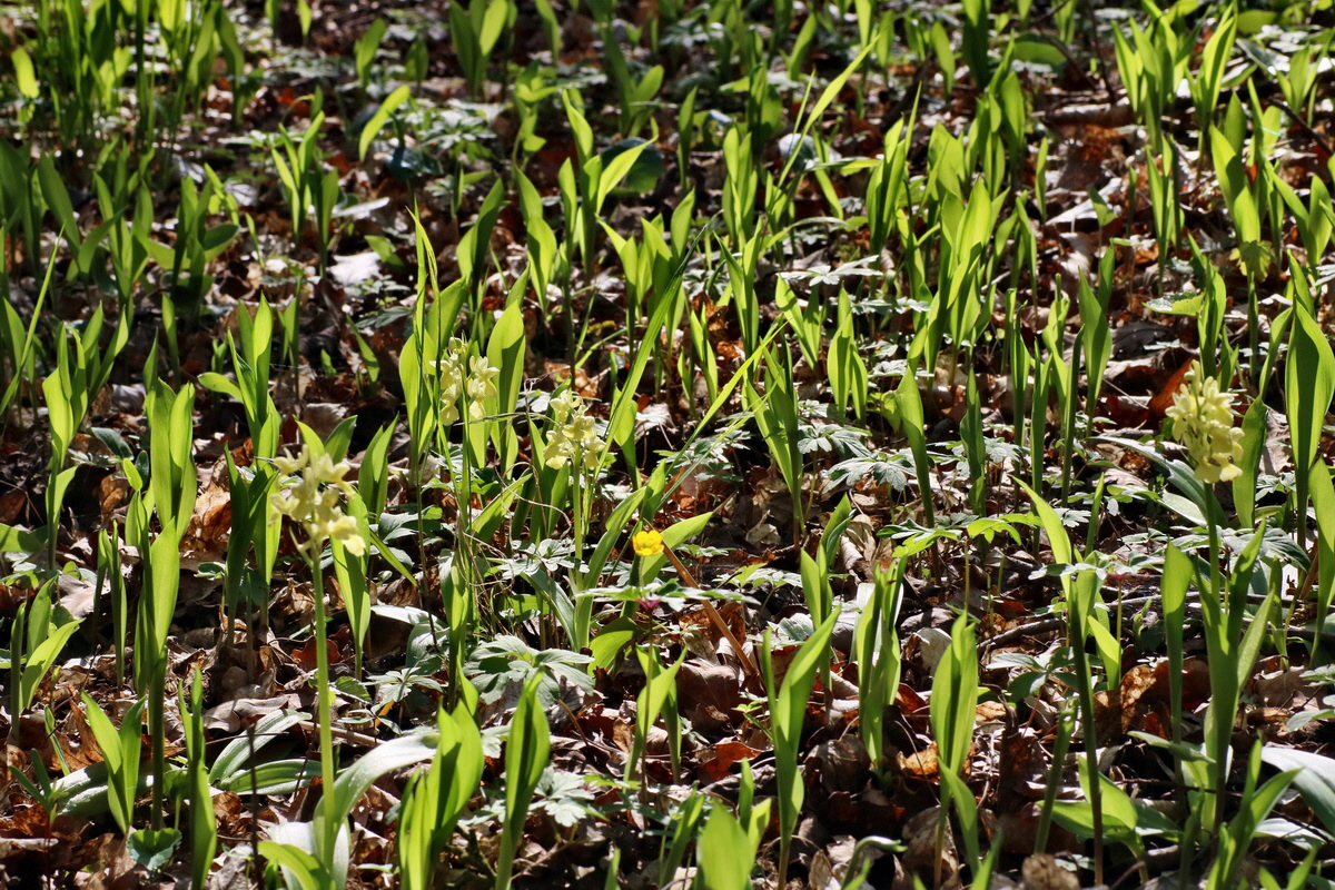 IMG-2016-05-02-00013326p_Bildgr��e �ndern