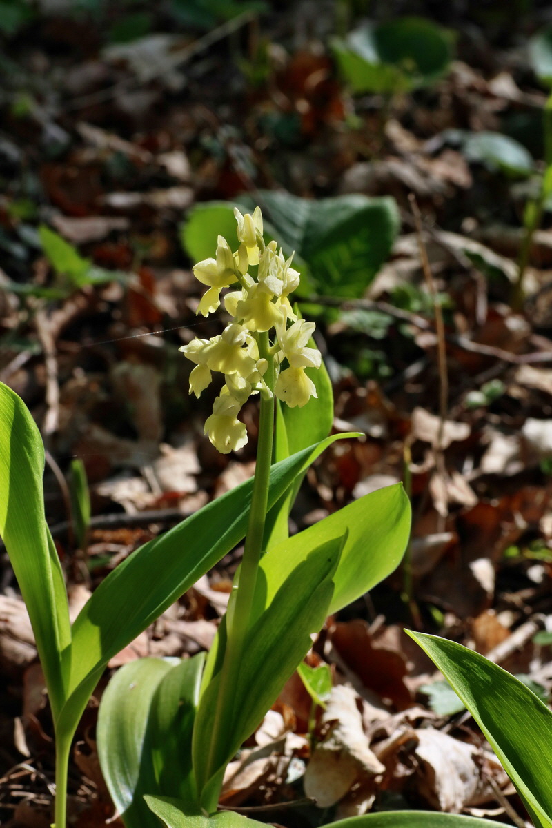 IMG-2016-05-02-00013329p_Bildgr��e �ndern