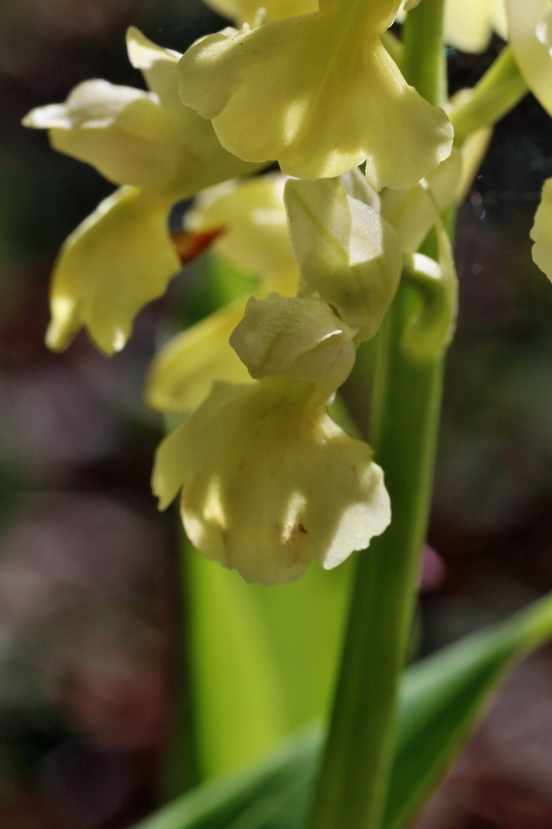 IMG-2016-05-02-00013333p_Bildgr��e �ndern