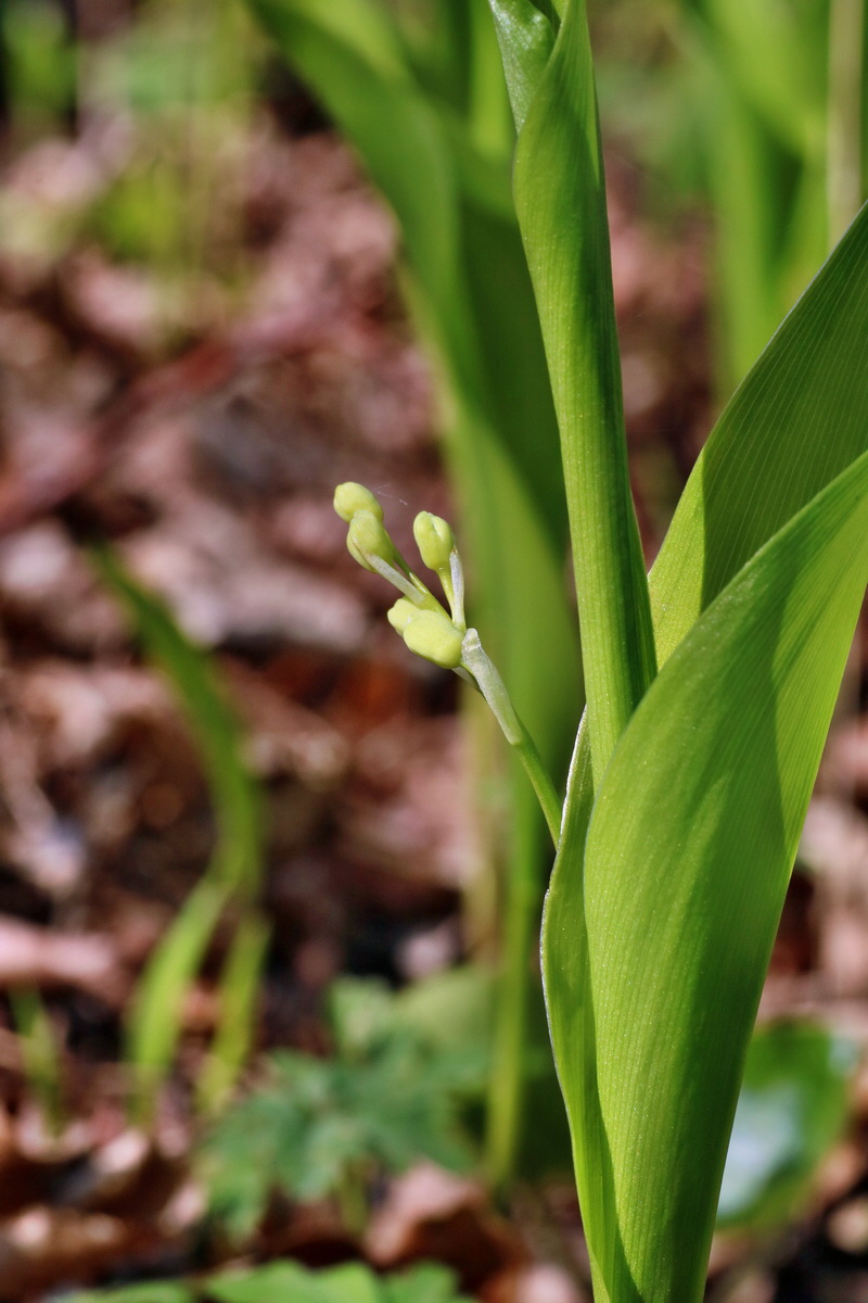 IMG-2016-05-02-00013336p_Bildgr��e �ndern