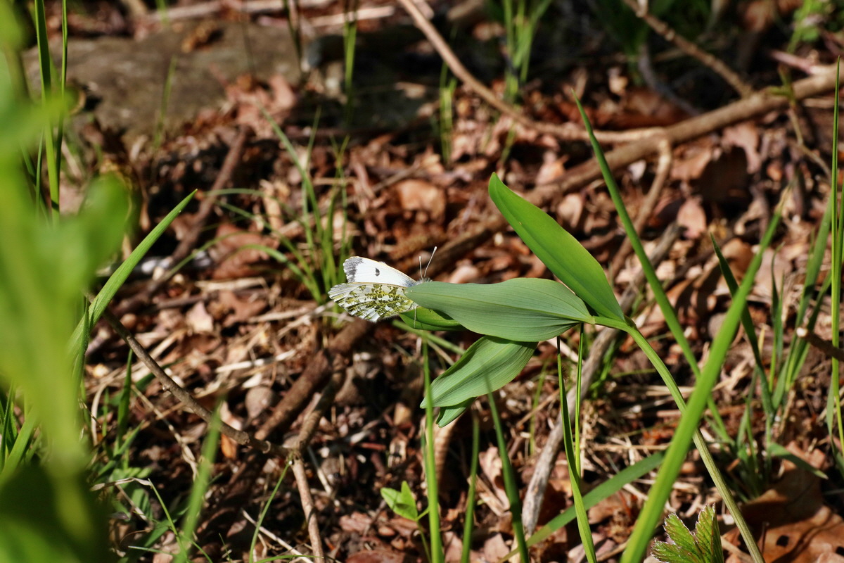 IMG-2016-05-02-00013338p_Bildgr��e �ndern