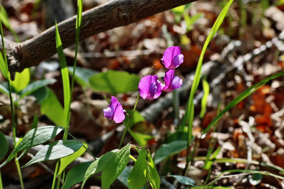 IMG-2016-05-02-00013340p_Bildgr��e �ndern