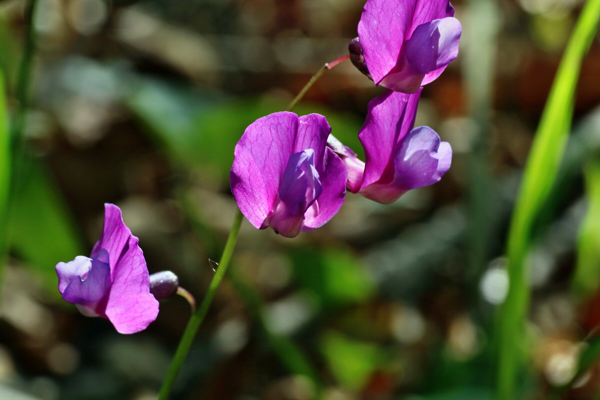 IMG-2016-05-02-00013342p_Bildgr��e �ndern