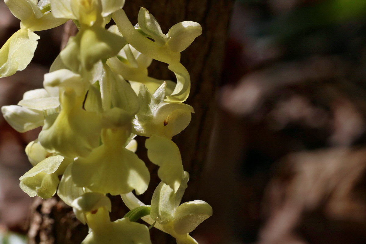 IMG-2016-05-02-00013352p_Bildgr��e �ndern