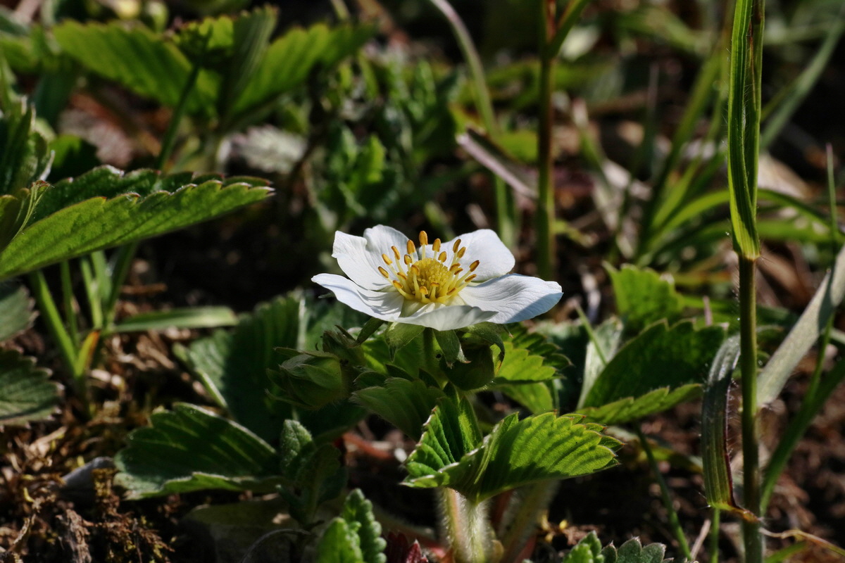 IMG-2016-05-02-00013353p_Bildgr��e �ndern