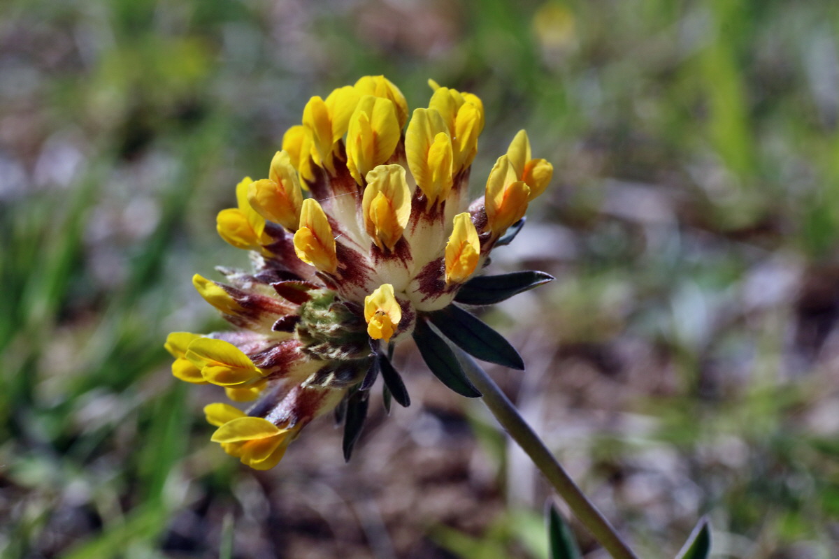 IMG-2016-05-02-00013382p_Bildgr��e �ndern