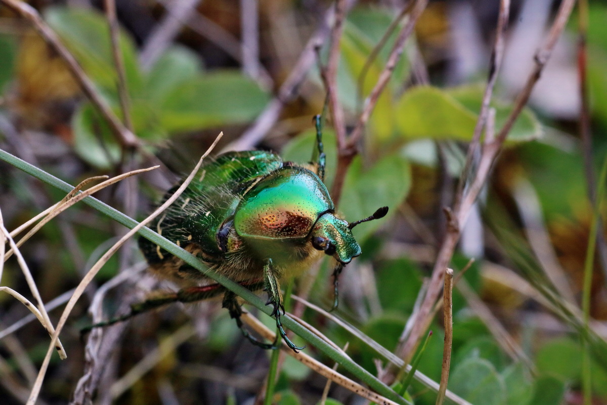 IMG-2016-05-02-00013386p_Bildgr��e �ndern