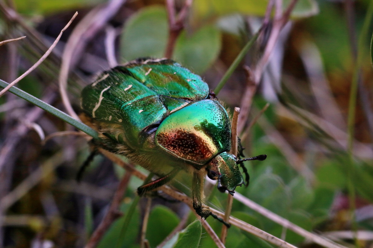 IMG-2016-05-02-00013392p_Bildgr��e �ndern