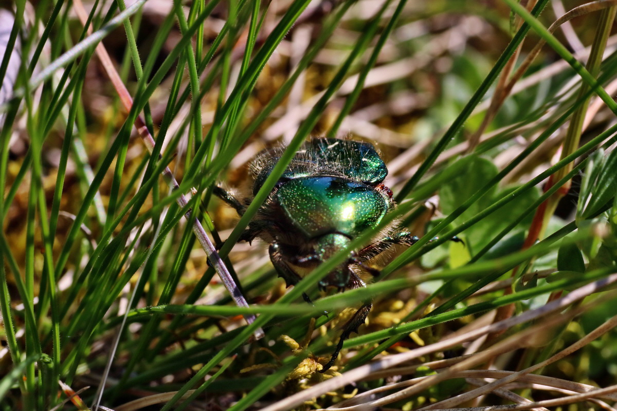 IMG-2016-05-02-00013399p_Bildgr��e �ndern