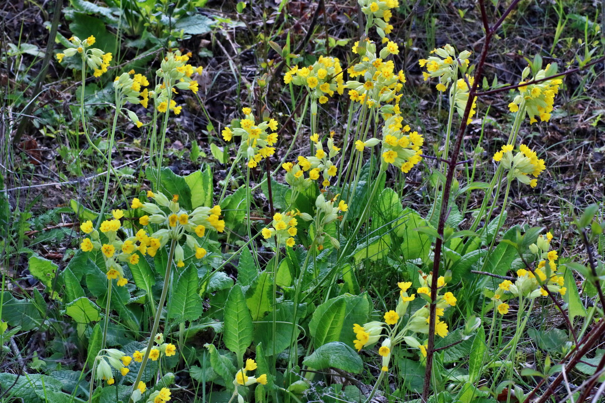 IMG-2016-05-02-00013420p_Bildgr��e �ndern