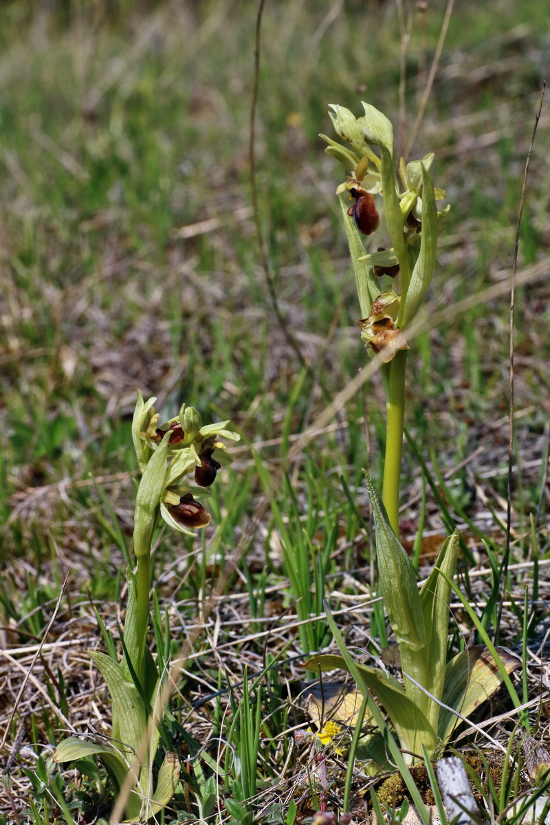 IMG-2016-05-02-00013424p_Bildgr��e �ndern