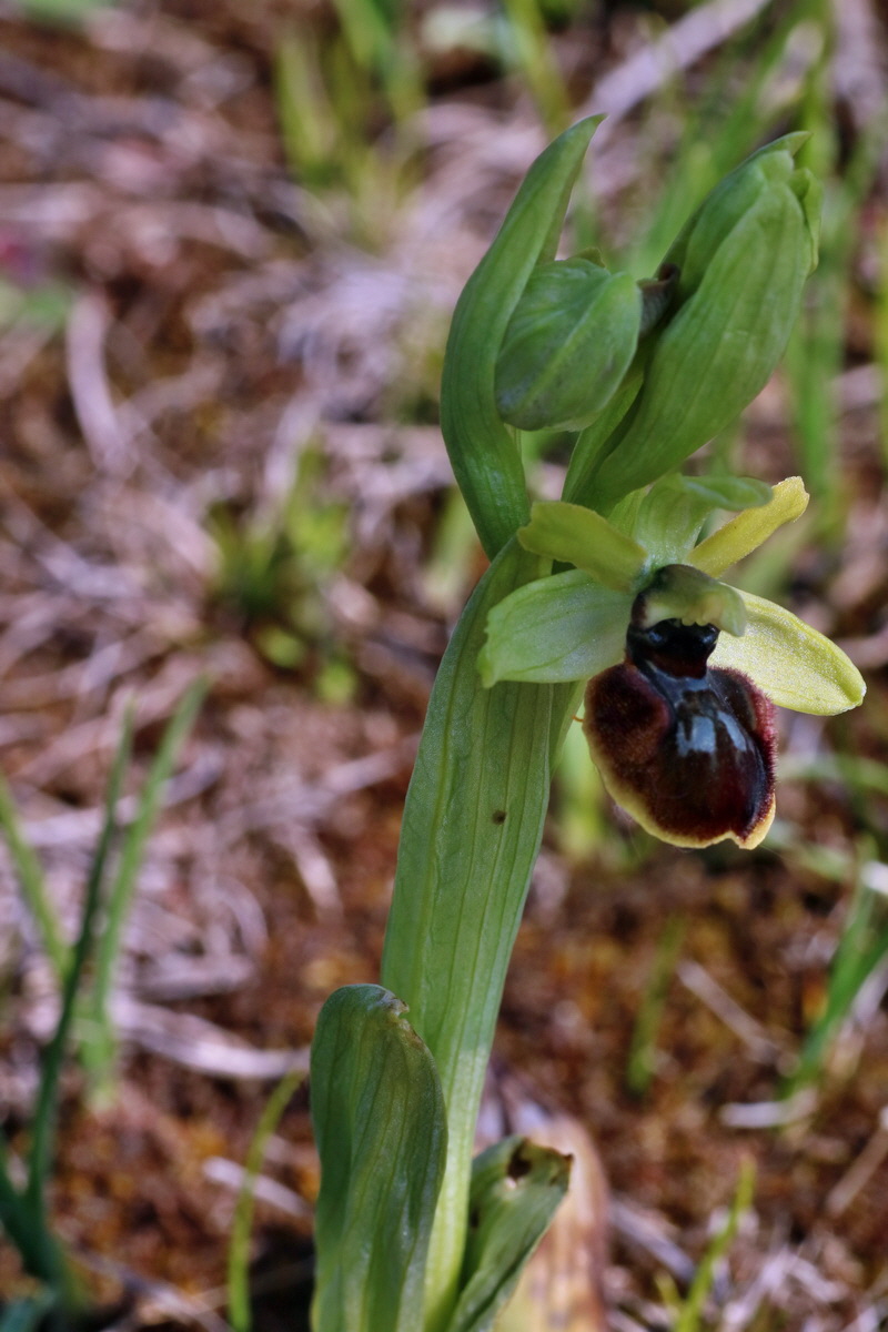 IMG-2016-05-02-00013425p_Bildgr��e �ndern