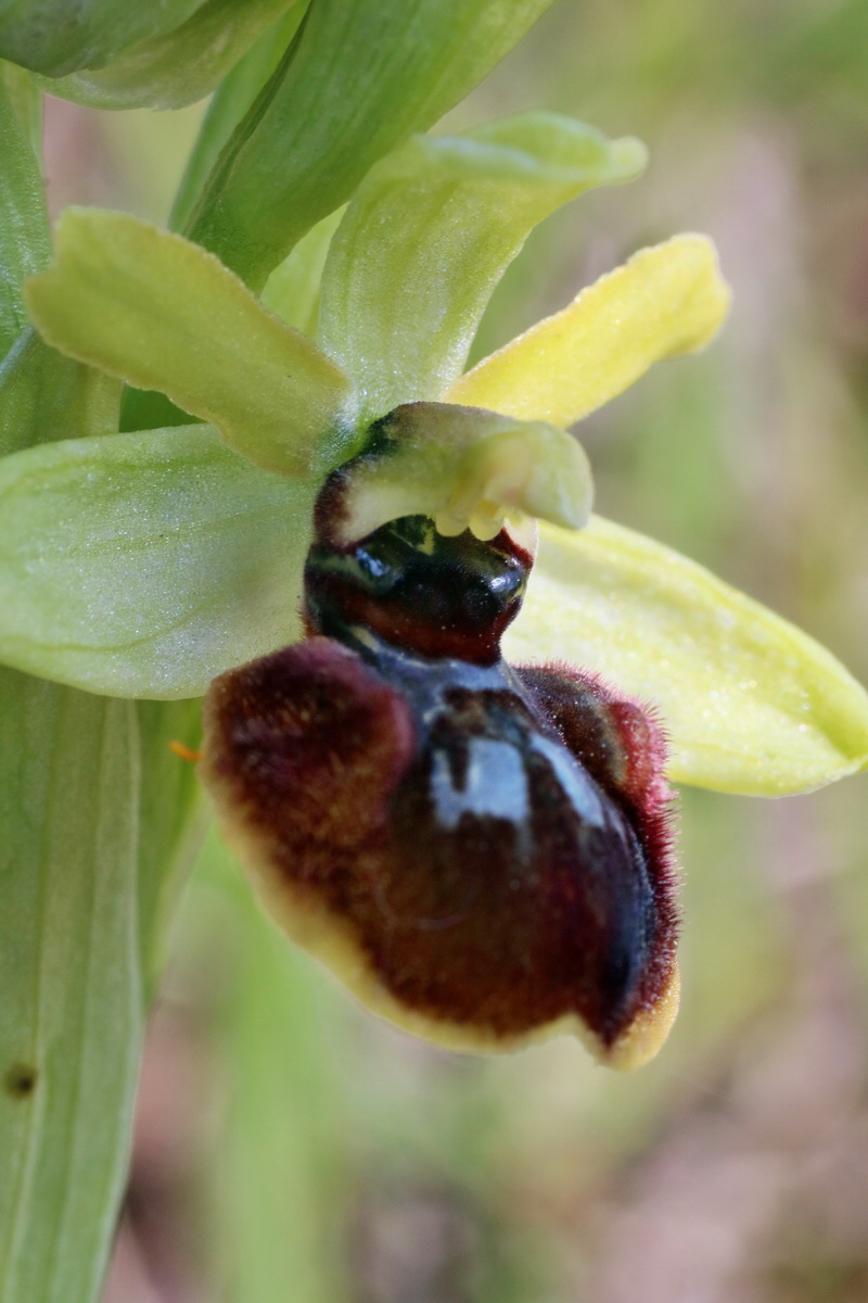 IMG-2016-05-02-00013433p_Bildgr��e �ndern