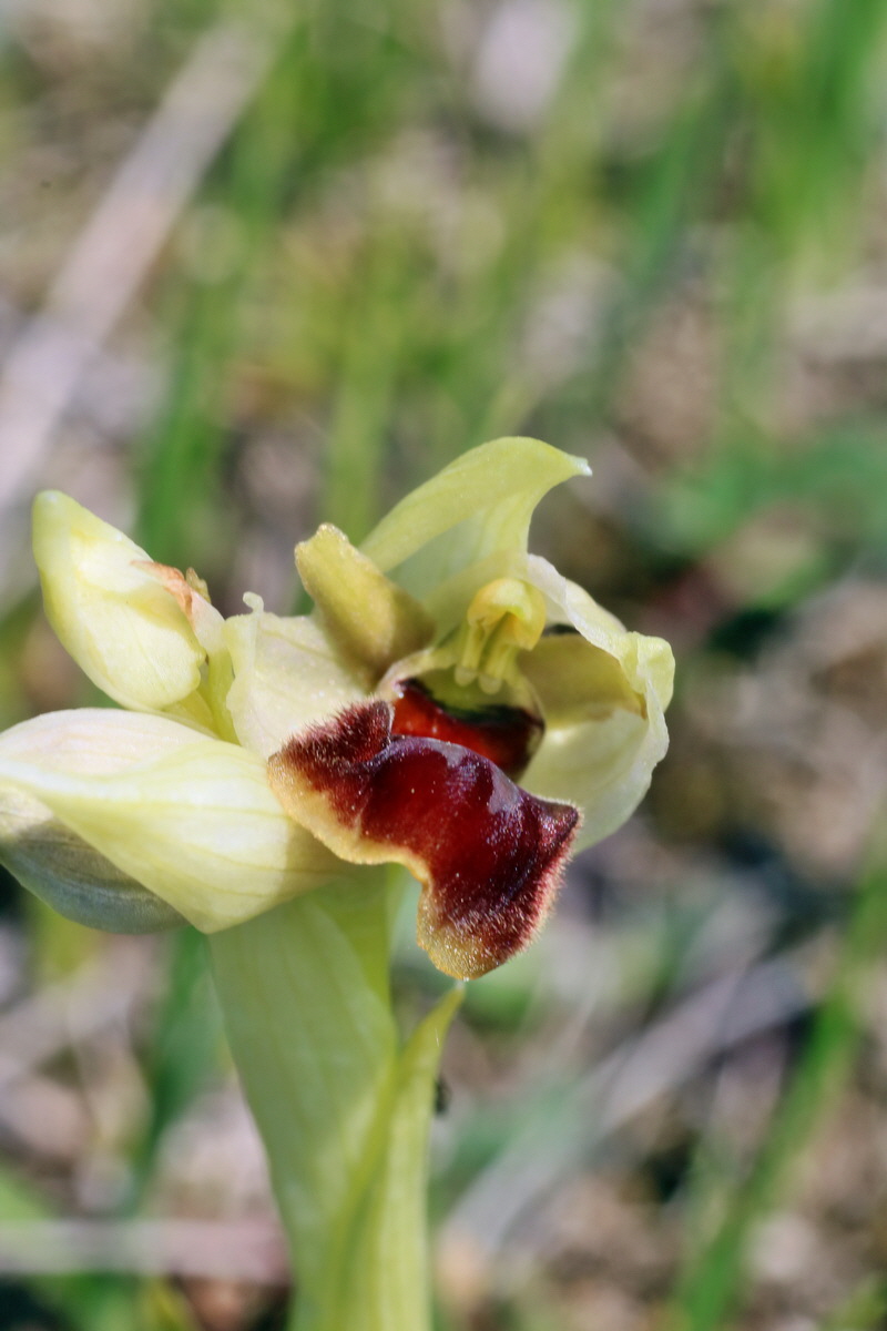 IMG-2016-05-02-00013440p_Bildgr��e �ndern