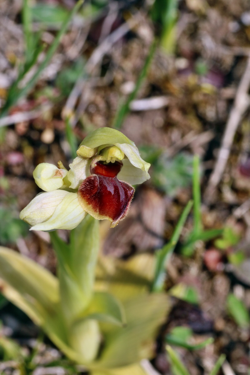 IMG-2016-05-02-00013443p_Bildgr��e �ndern