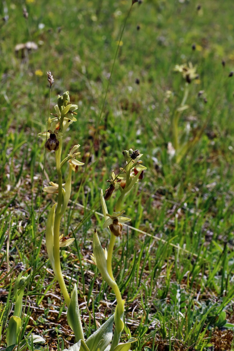 IMG-2016-05-02-00013449p_Bildgr��e �ndern