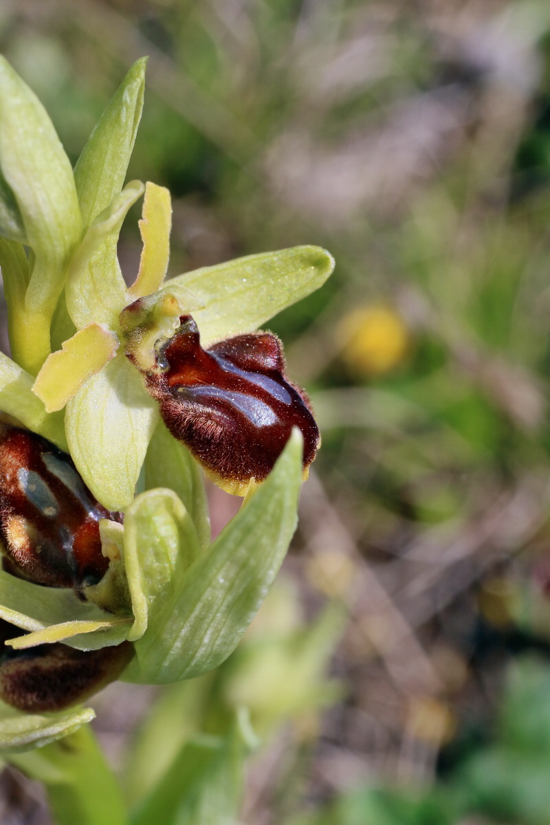 IMG-2016-05-02-00013451p_Bildgr��e �ndern